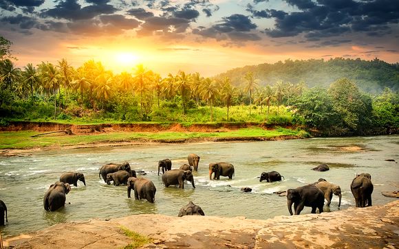 Willkommen in... Sri Lanka!