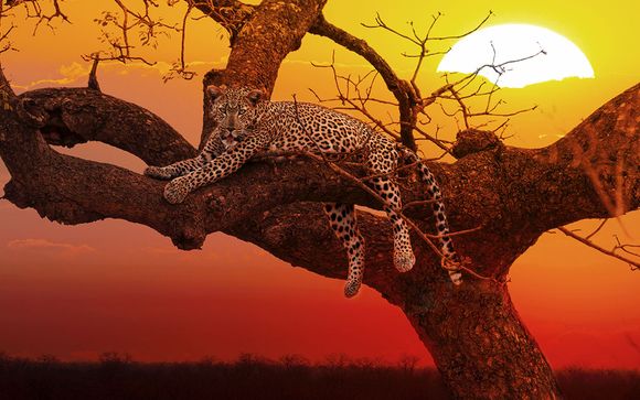 Buchen Sie eine Option für Ihren Ausflug