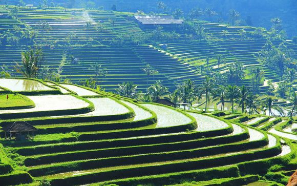 Ihr Programm im Detail