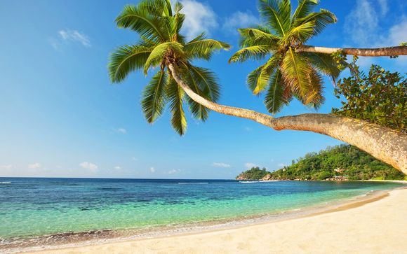 Willkommen auf... den Seychellen!