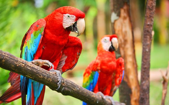 Ihre Rundreise im Detail