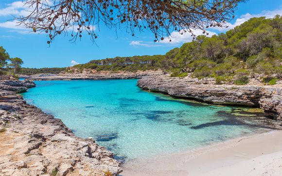 Willkommen auf... Mallorca!