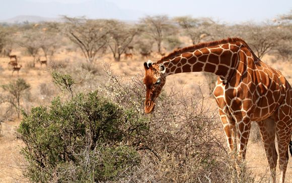 Ihre Rundreise im Detail