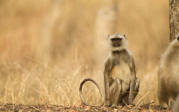 Ihre Rundreise im Detail