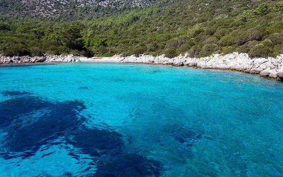 Ihre Rundreise im Detail