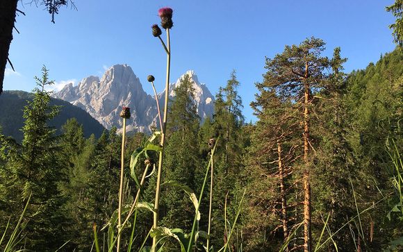 Willkommen in... Südtirol!