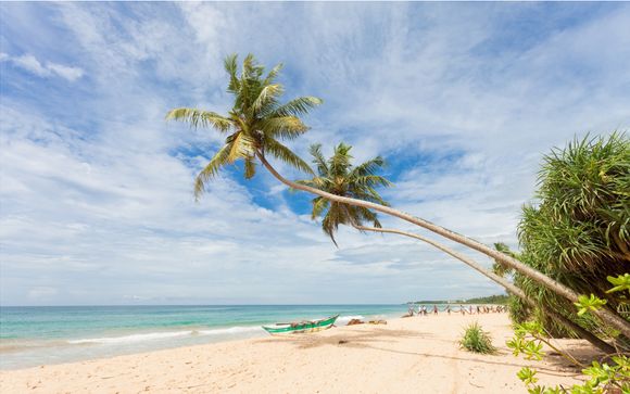 Willkommen auf... Sri Lanka!