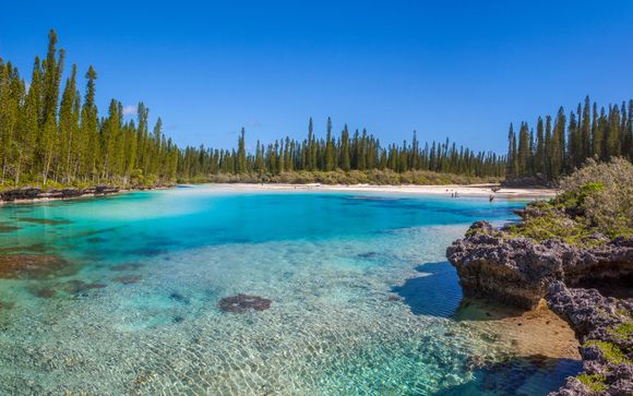 Zoom sur votre programme en 19 nuits