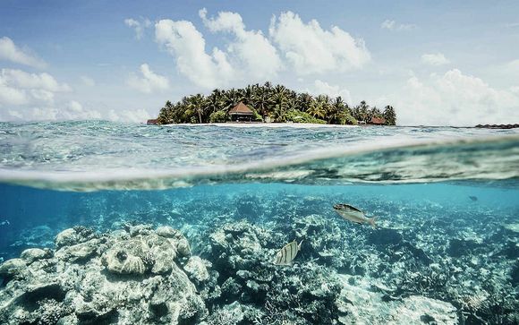 Et pour aller plus loin...