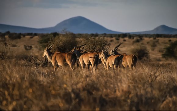Willkommen in... Kenia!