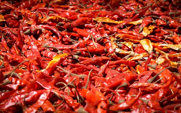 Ihre Rundreise mit 7 Nächten im Detail