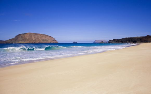 Labranda Alyssa Suite Hotel 4 Playa Blanca Bis Zu 70