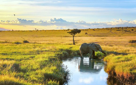 Willkommen in... Kenia!