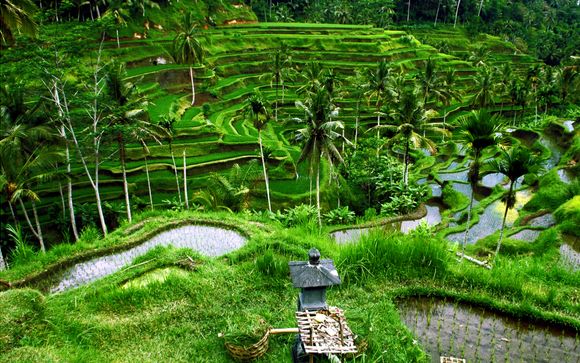 Willkommen in... Indonesien!