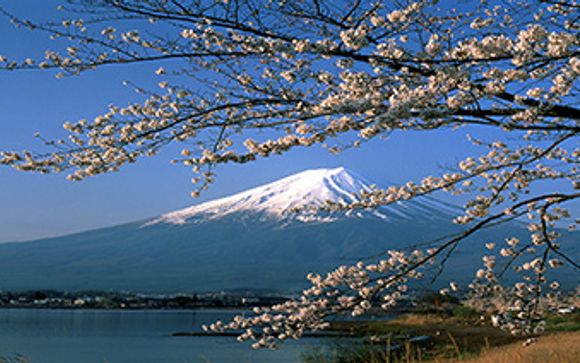 Mettez une option sur l’évasion
