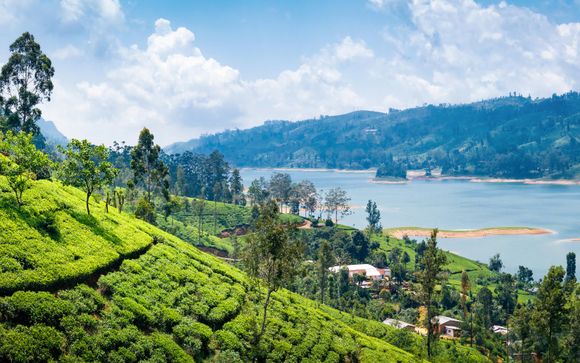 Ihre Rundreise im Detail