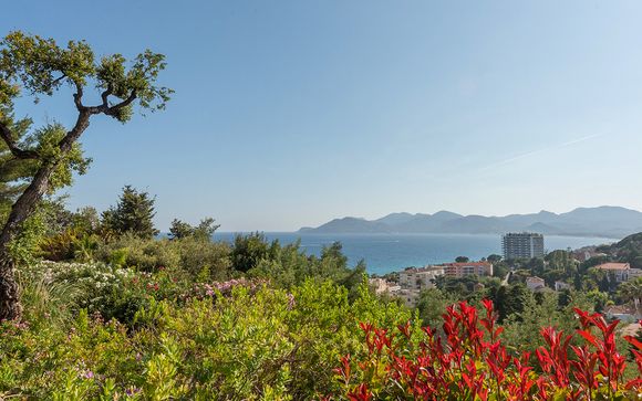 Willkommen in... Cannes!