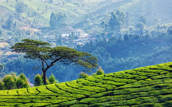 Ihre Rundreise im Detail