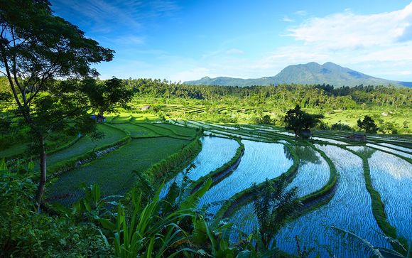 Willkommen in... Bali!