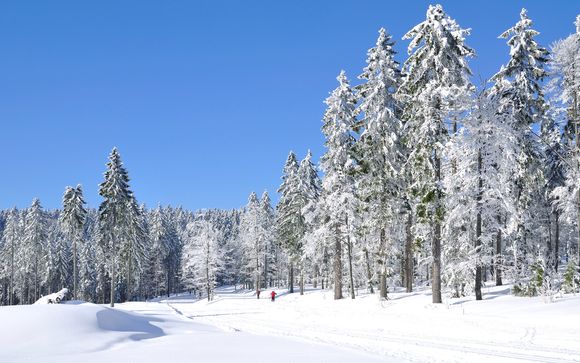 Willkommen in... Bodenmais!