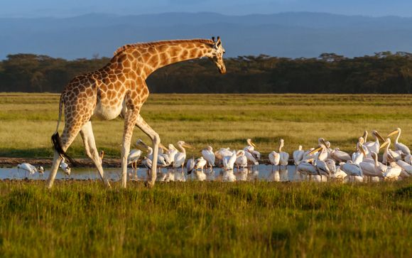 Ihre Rundreise im Detail