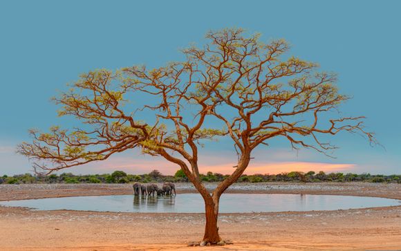 Ihre Rundreise im Überblick