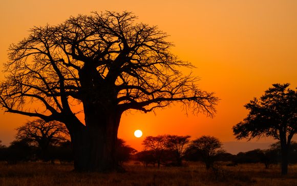 Ihre Safari im Detail