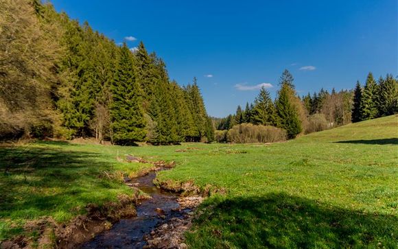 Willkommen im Thüringer Wald