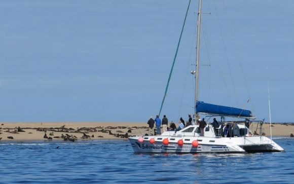 Ihre Ausflugsoptionen