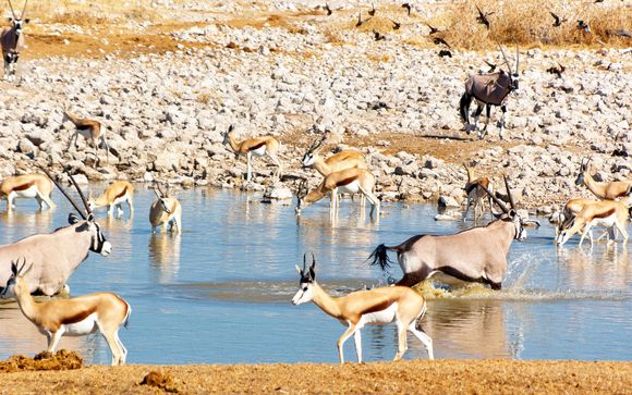 Ihre Ausflugsoptionen