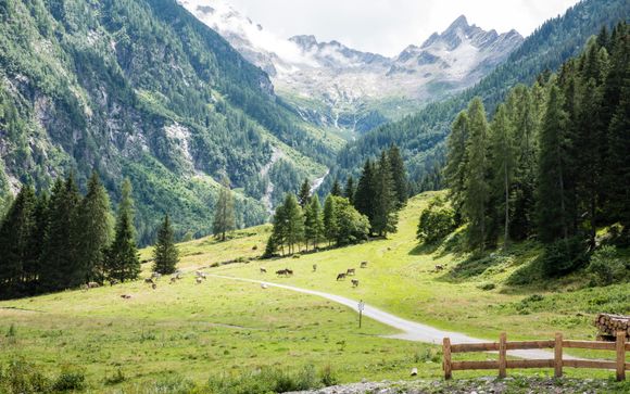 Willkommen im Val di Sole