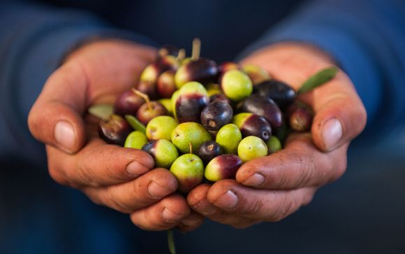 Ihre Ausflugsoptionen
