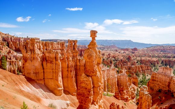 Willkommen in den USA!