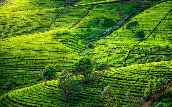 Ihre Rundreise im Detail