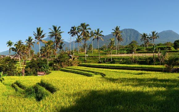 Ihre Reise im Überblick