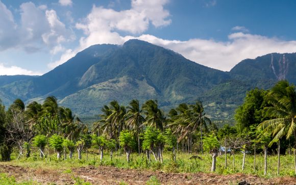 Ihre Reise im Detail