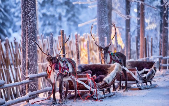 Ihre Ausflüge in Lappland