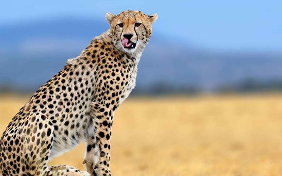 Ihre Safari im Überblick