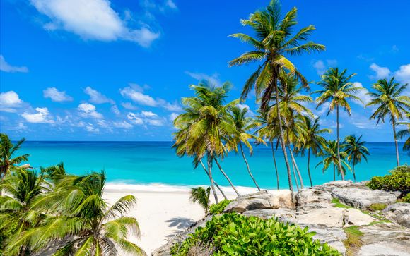 Ihre Kreuzfahrt im Detail