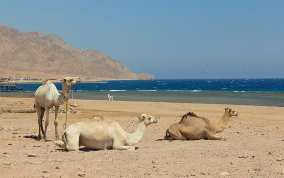 Ihre Reise im Detail