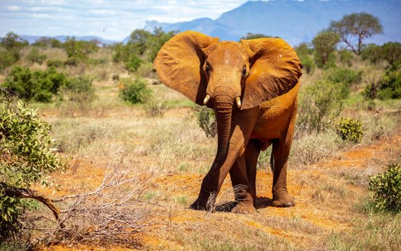 Willkommen in Kenia!