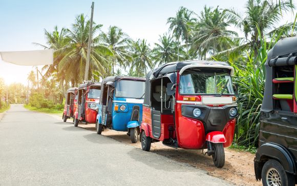 Ihre Ausflugsoptionen