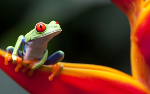 Ihre Rundreise im Überblick
