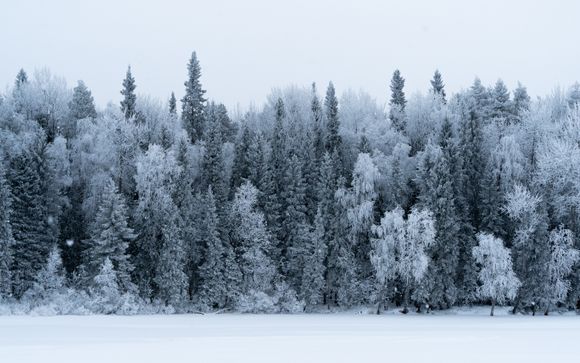 Willkommen in Sodankylä