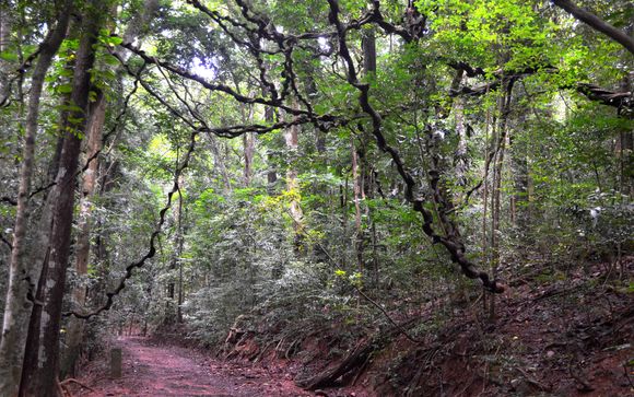 Ihre Rundreise im Detail