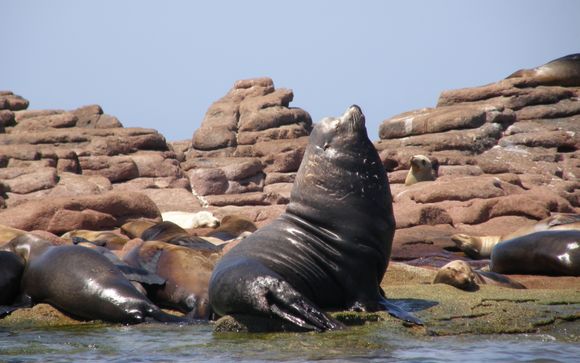 Im Angebot enthalten