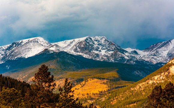 Im Angebot enthalten