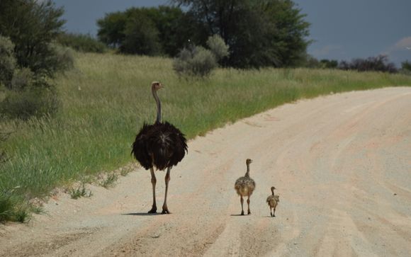 Ihre Autotour im Detail