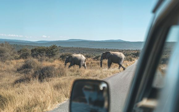 Ihre Autotour im Detail