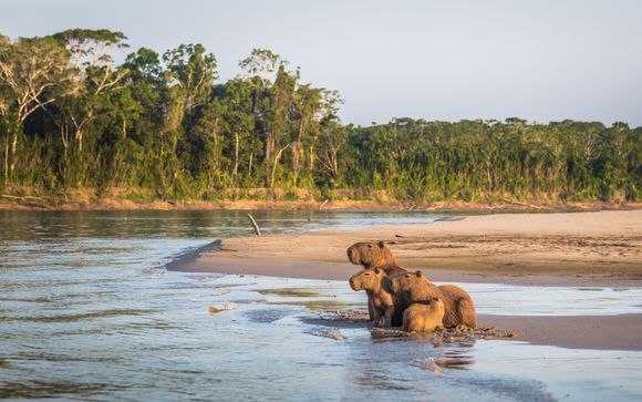 Ihre Rundreise im Detail
